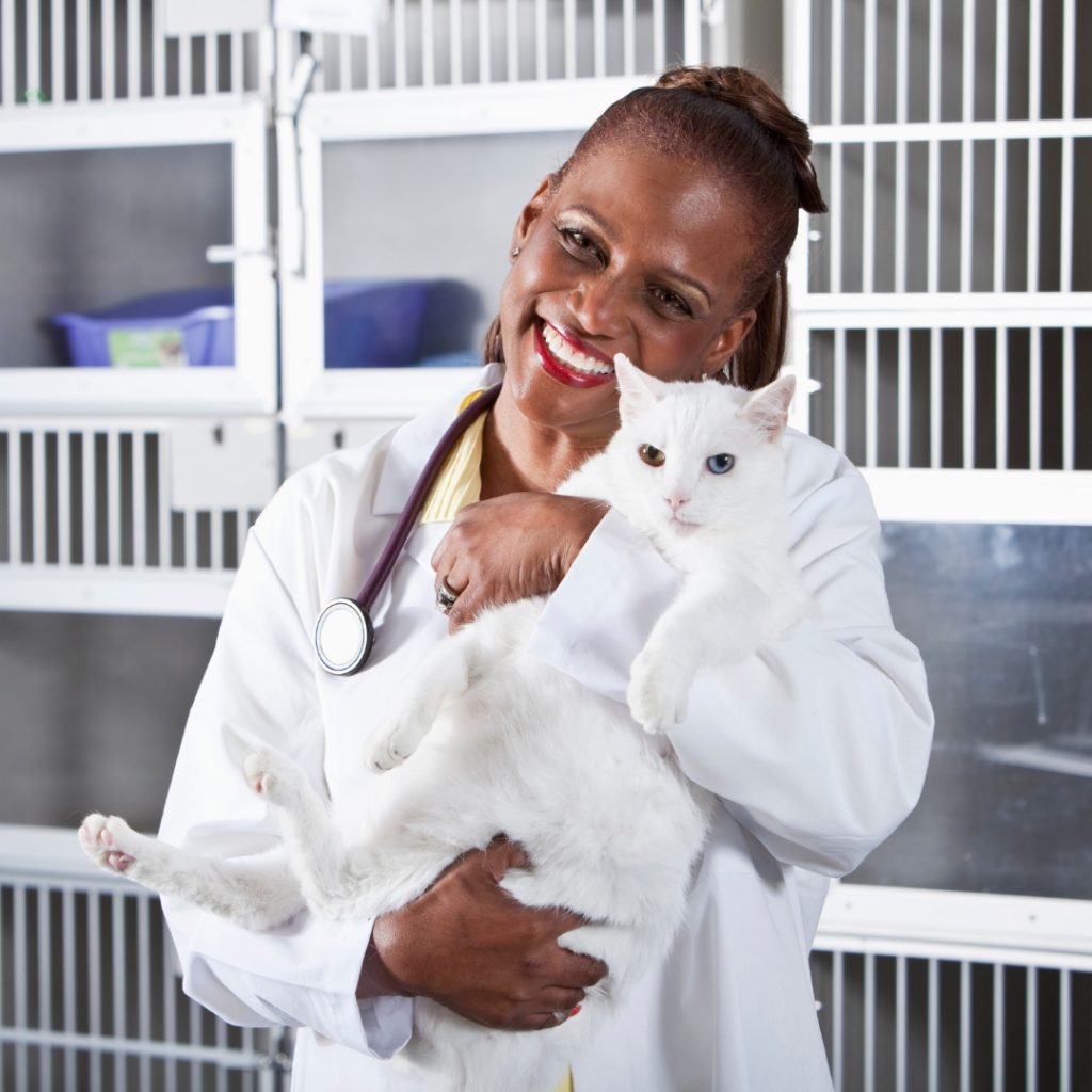 dia mundial da medicina veterinaria 1