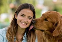 Quais as diferenças entre os termos “tutor” e “responsável”; por que essa diferença importa?