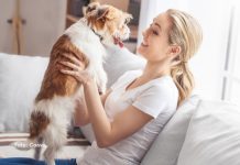 Seu cachorro entende quando você fala? Novo estudo revela como o cérebro dos cães separa palavras