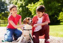Crianças que ajudam a cuidar de cães e gatos podem desenvolver melhor a memória e o autocontrole, aponta estudo