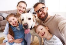 Férias escolares: mudança de rotina exige atenção especial com a saúde e o bem-estar dos pets