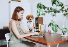 Black Friday Pet: Dicas imperdíveis para tutores aproveitarem com segurança e economia