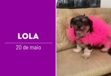ParAUbéns AUmiga Lola: Uma Rainha de Patas, AUmor e SuperAUção