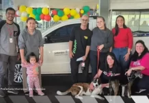 Prefeitura transforma a vida de animais resgatados nos terminais de Colombo: 13 já ganharam um lar