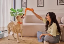 Objetos que os pets podem engolir: conheça os riscos e saiba como prevenir acidentes