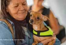 Vet-Móvel ainda tem vagas disponíveis para atendimentos veterinários em São José dos Pinhais
