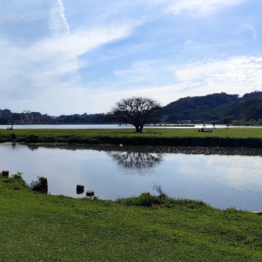 site barigui