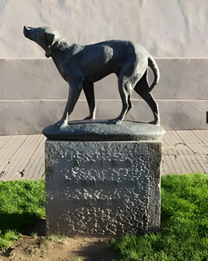 Fido