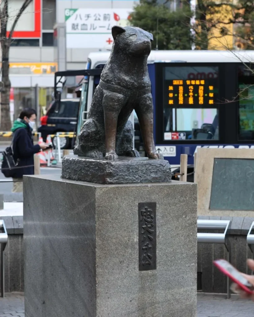 Hachiko