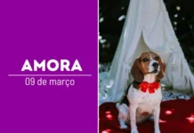 Amora: Cinco anos de compAUnheirismo, cAUrinho e AUprendizado