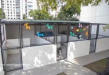 Casa da Mulher Brasileira de Curitiba abre espaço exclusivo para acolher os pets de vítimas de violência
