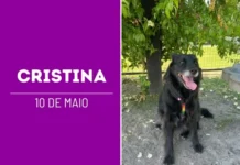 Cristina: Uma história de amor que começou com um resgate