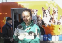 Rede de Proteção Animal tem 2.150 vagas para castração gratuita de cães e gatos