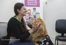 Prefeitura de Curitiba emite credenciais para ampliar acesso de pessoas acompanhadas por cães de assistência; saiba como aqui