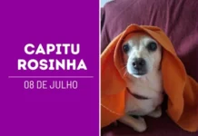 Capitu Rosinha: um AUniversário para celebrar o AUmor que transformou uma vida ❤️