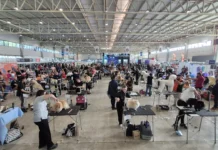 Expopet Pro chega a Curitiba em novembro com feira pet, campeonato de tosa e congresso de estética canina